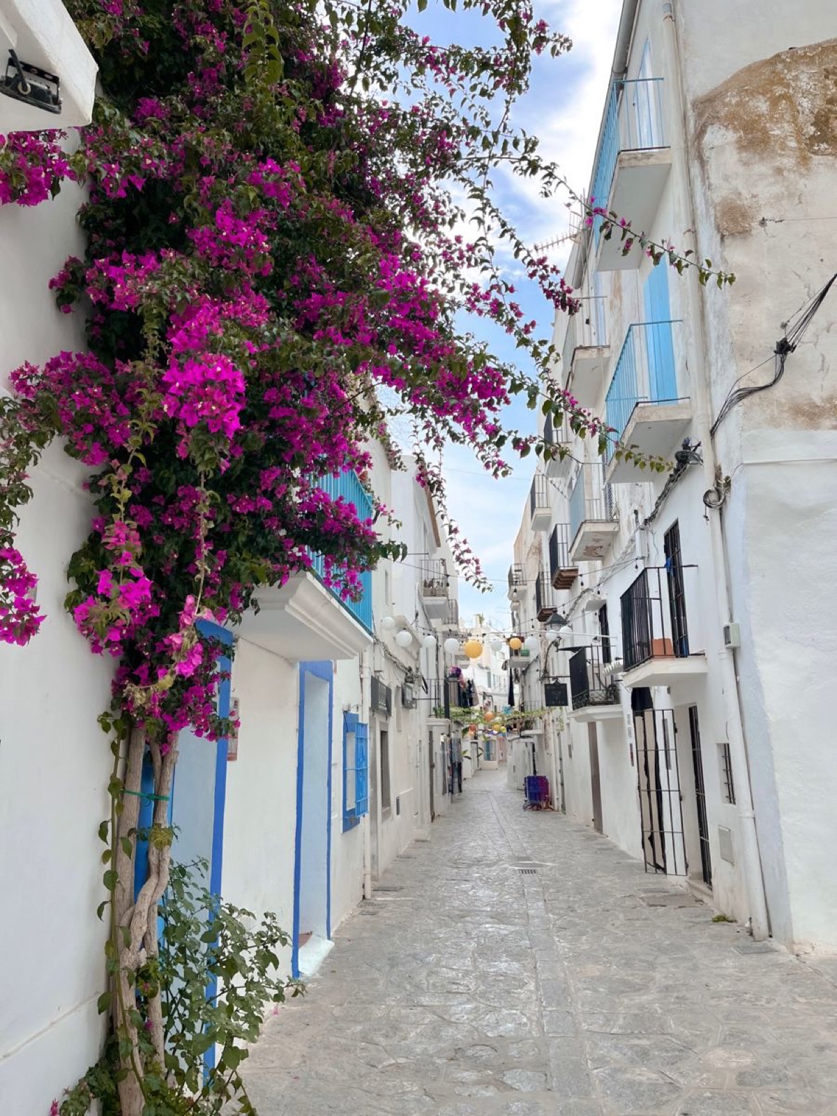 ruela florida em Ibiza